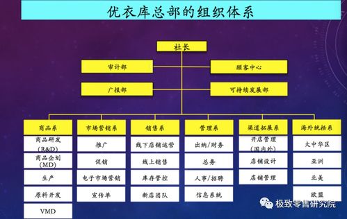 優衣庫 逆境中的市場突圍者，為何在洋品牌退潮時進入“當打之年”？